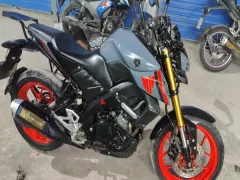 Yamaha MT 15